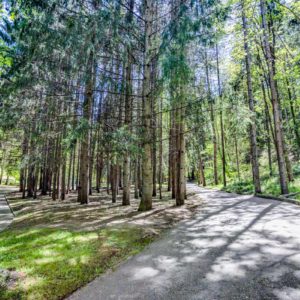 Парк в санатории «Родник» в Кисловодске - фотография