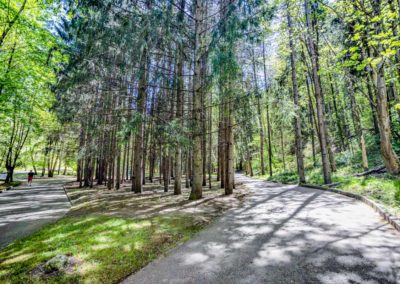 Парк в санатории «Родник» в Кисловодске - фотография