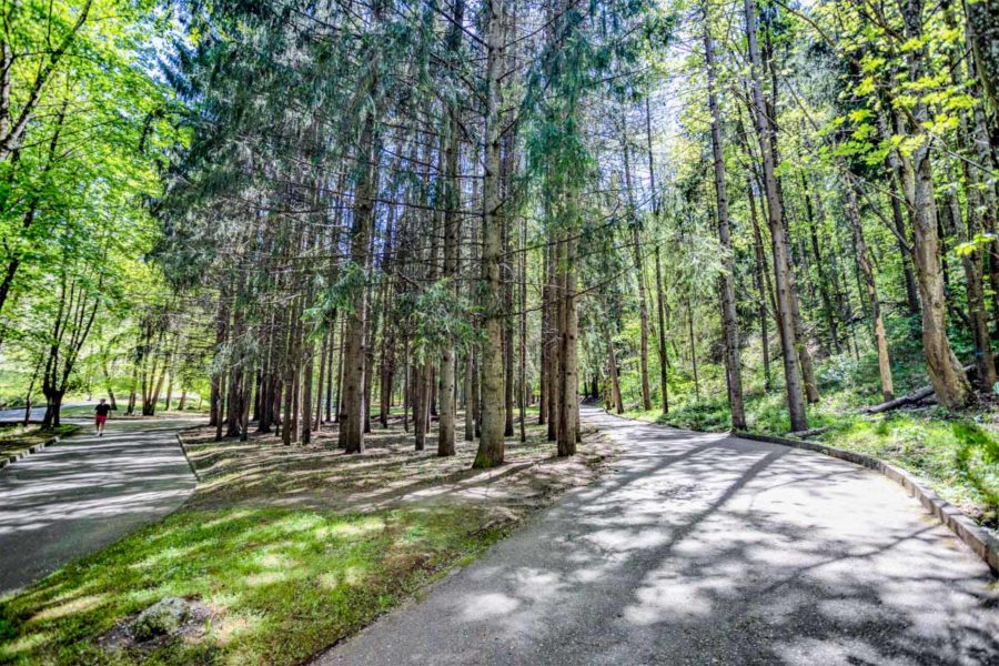 Парк в санатории «Родник» в Кисловодске - фотография