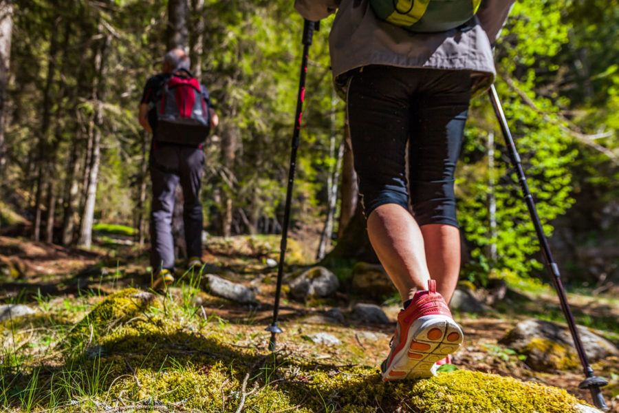 Терренкур в санатории «Родник» в г. Кисловодске - фотография